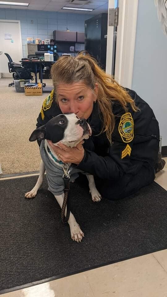 Helping hands bring ‘near death’ puppy back from the brink – the miracle pup is named Hero