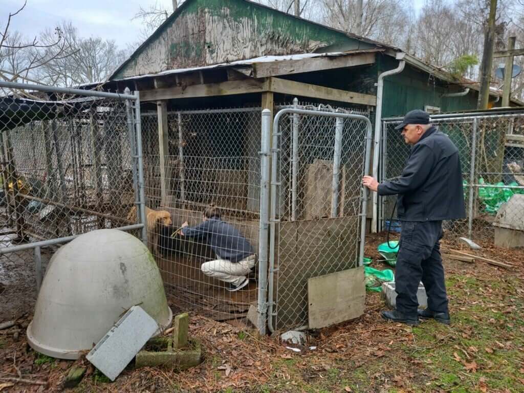 Over 60 dogs rescued from inhumane and unsanitary conditions at breeder’s property