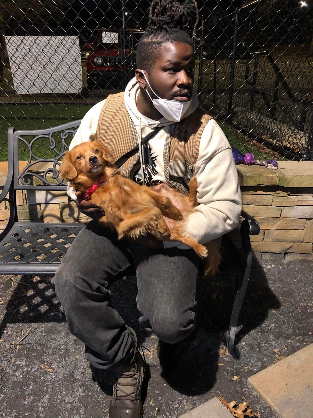 Good Samaritan the only one to stop after little dog struck by a car