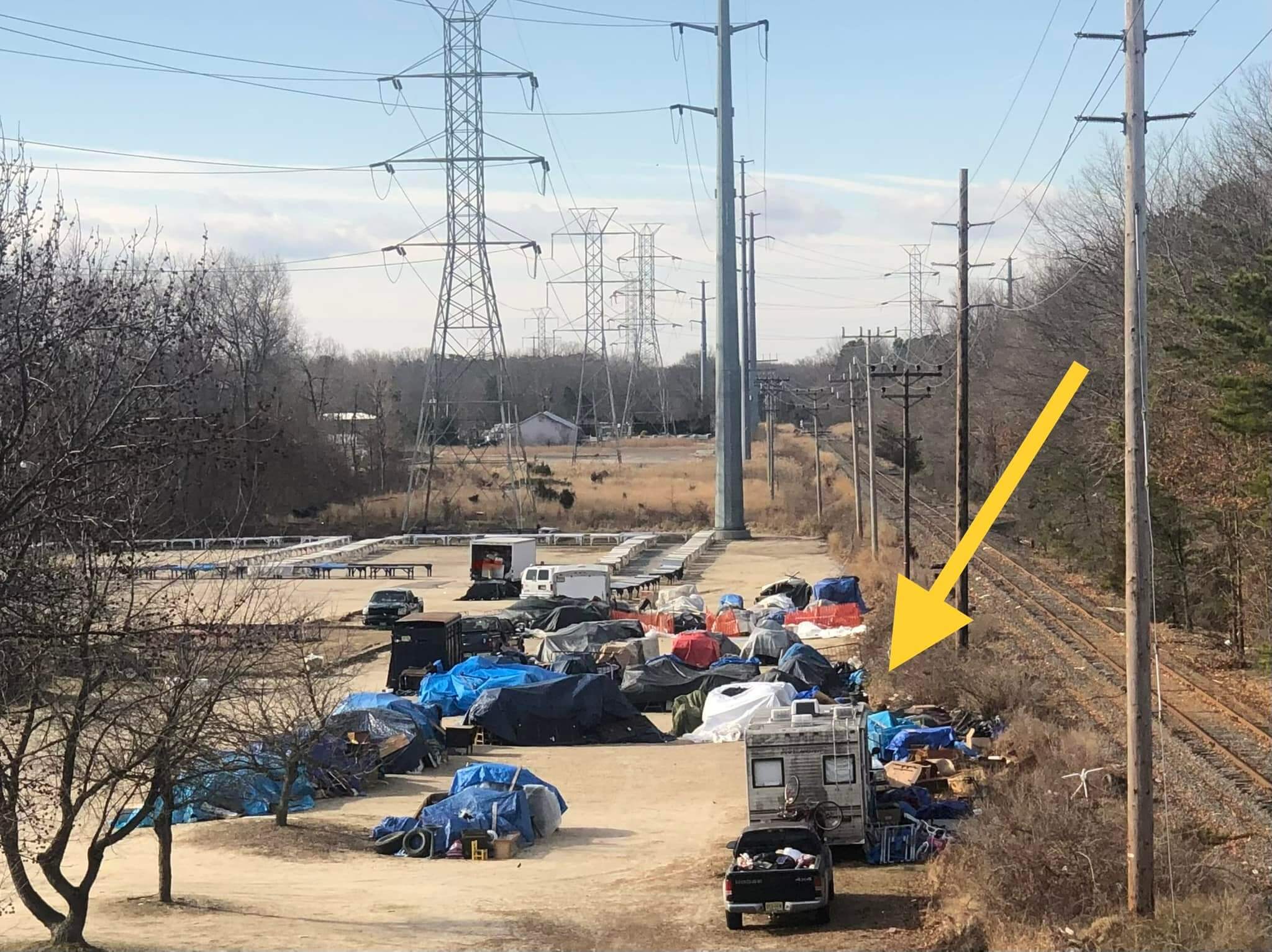 Someone boxed up newborn pups and left them with trash
