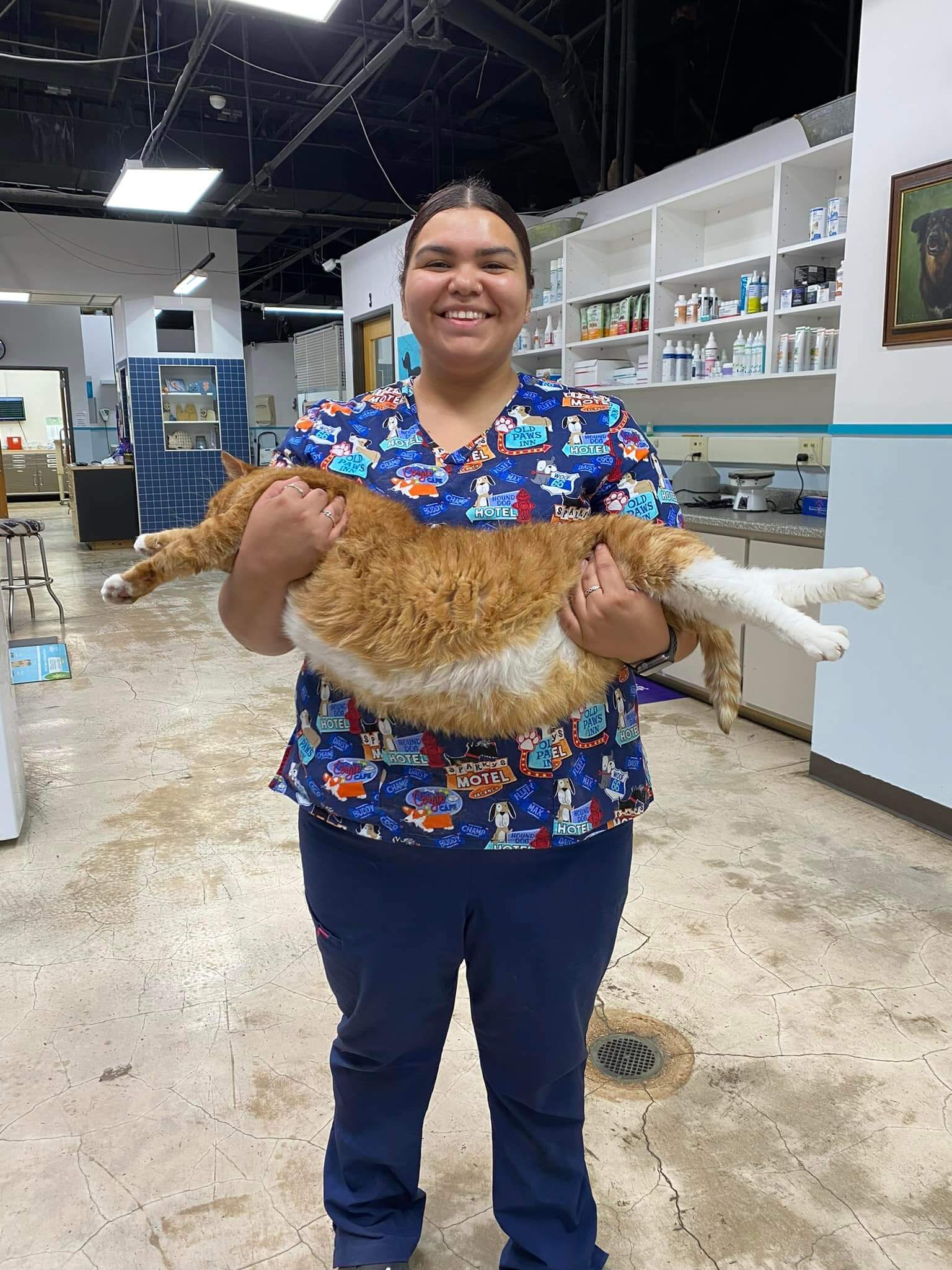 Woman left cat at shelter because he ‘peed outside the box,’ but he was really just sick