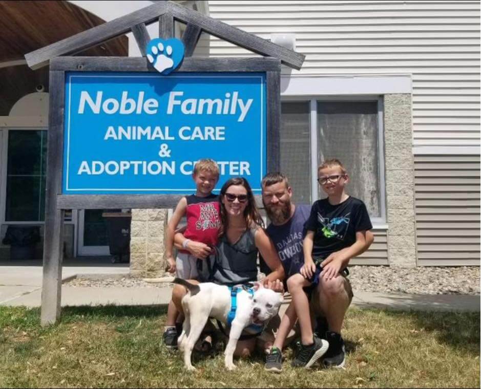 Sickly pup, abandoned in crate near cemetery, has been adopted