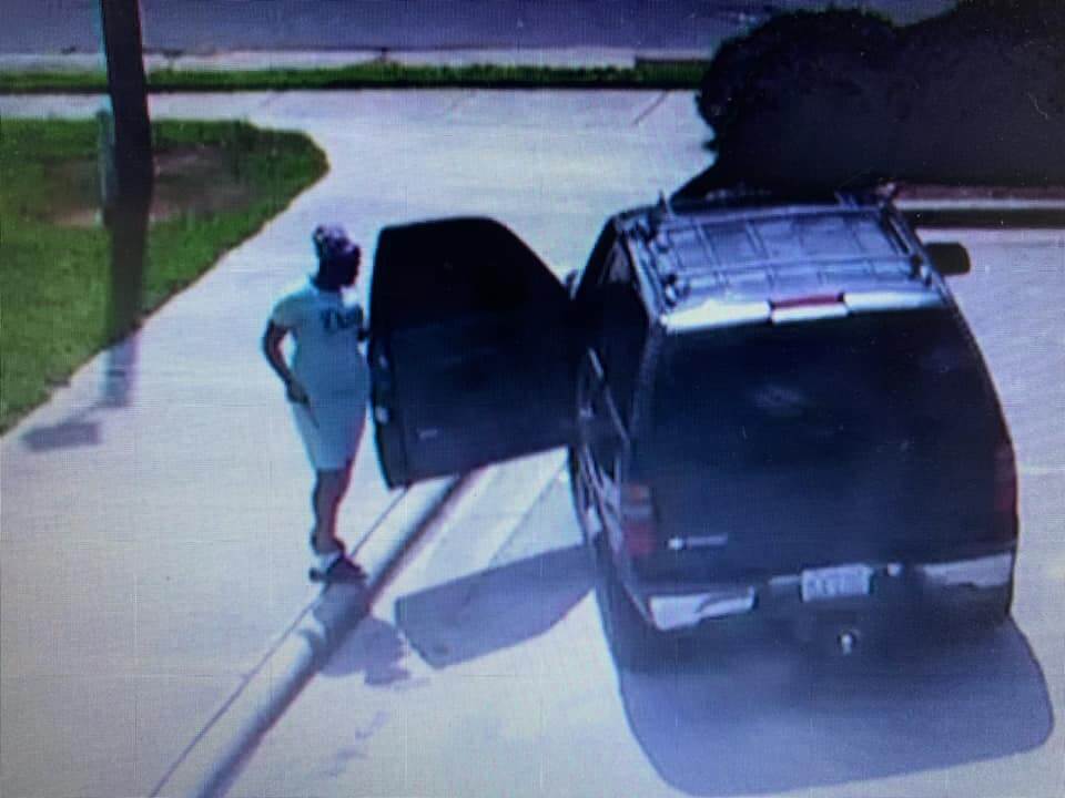 Update! Woman arrested and charged for abandoning 7 young puppies