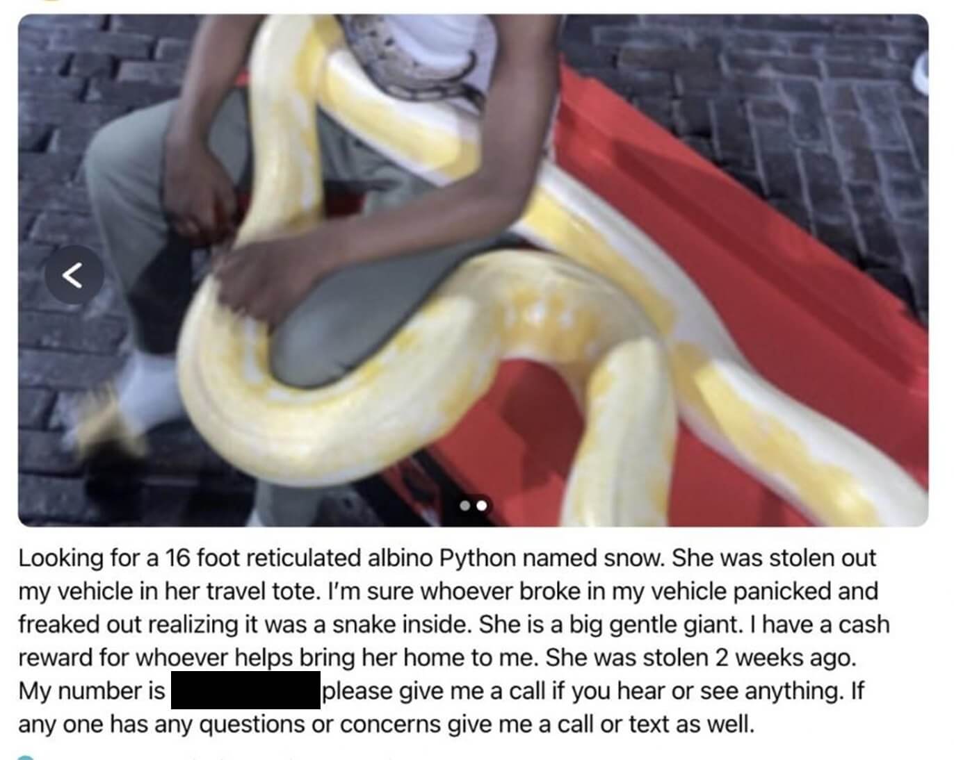 Animal control picks up 16-ft snake who has been lost since July