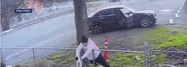 Woman dumping puppy over fence in Stockton caught on video