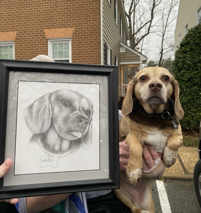Abby Beagle 1