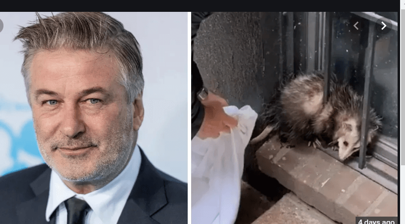 Video of Alec Baldwin ‘rescuing’ a possum in NYC smile worthy