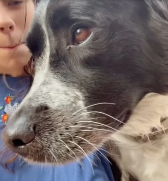 Young woman’s beloved dog needed $6K surgery she couldn’t afford but her plight touched the heart of the internet raising $14K