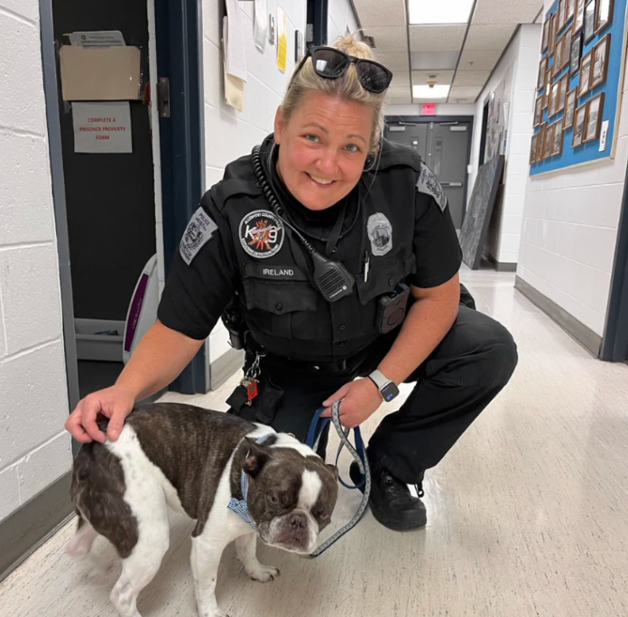 Woman abandoned dog at airport parking lot she claimed was emotional support pet stopped by airline staff