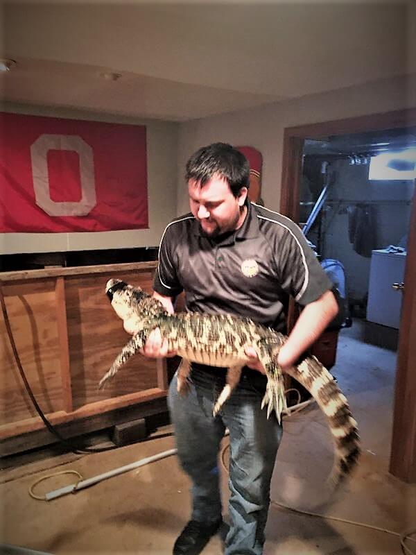 alligator-in-basement-3