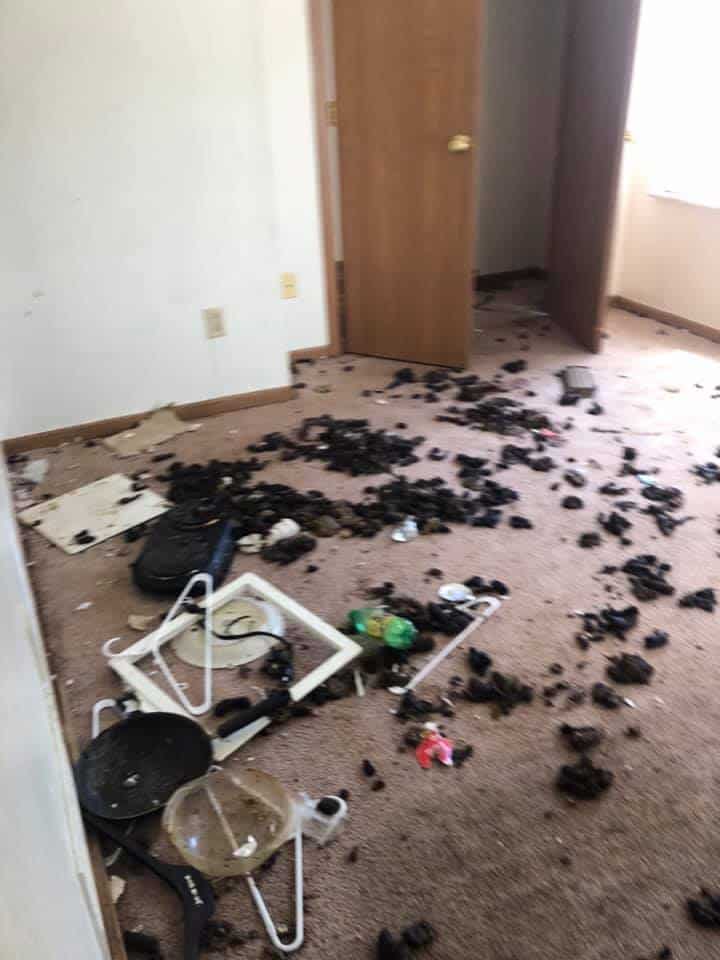 animal-charity-of-ohio-may4