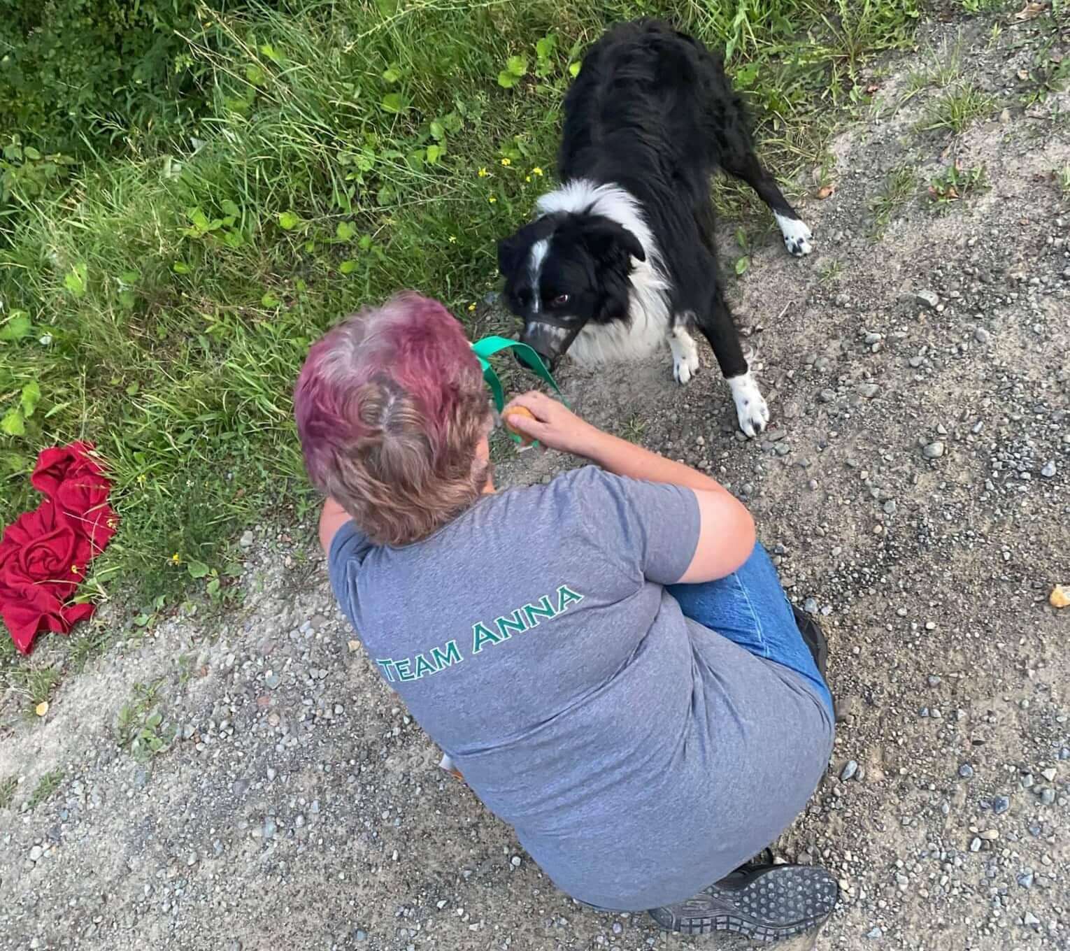 Dog abandoned on side of road wearing two muzzles waited on his blanket for his owner to return