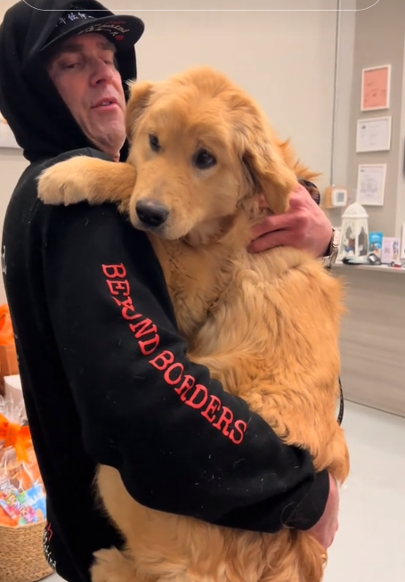 Golden retriever puppy realizes he’s safe after close encounter at Asian dog meat trade