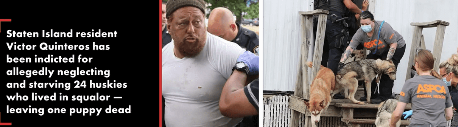 Man indicted for neglecting, starving 24 huskies living in and under trailers