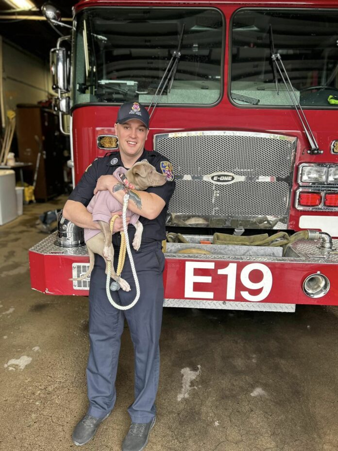 Sweet pup who lost her leg in car accident adopted by firefighter who cared for her