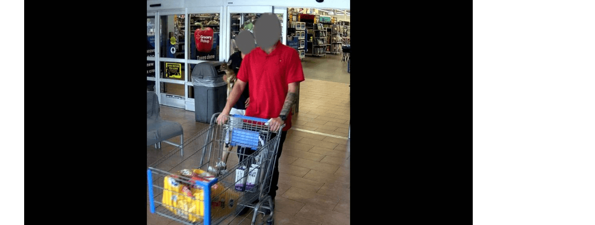 Couple cited after taking a baby deer to Walmart