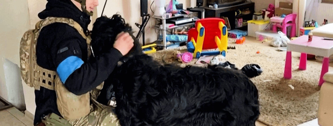 Abandoned dog left behind in Ukraine found by soldiers gets a new home