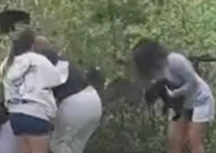 UPDATE: Bear cub pulled out of tree for selfie photos sent to rehab facility