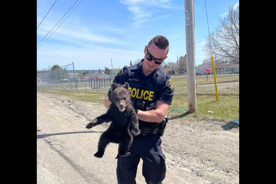 bear-with-us1
