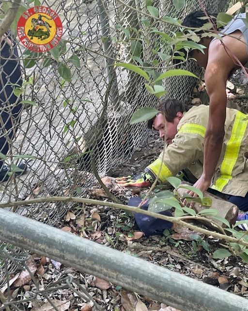Belle rescued