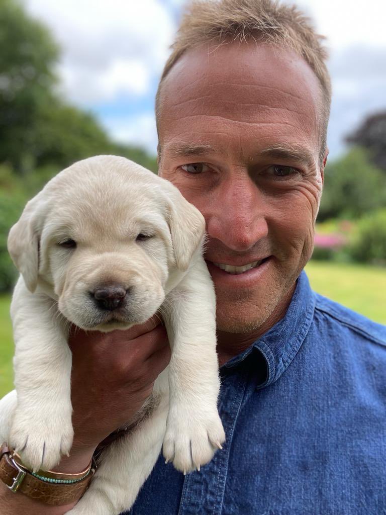 ben-fogle-dogs-i-love-them