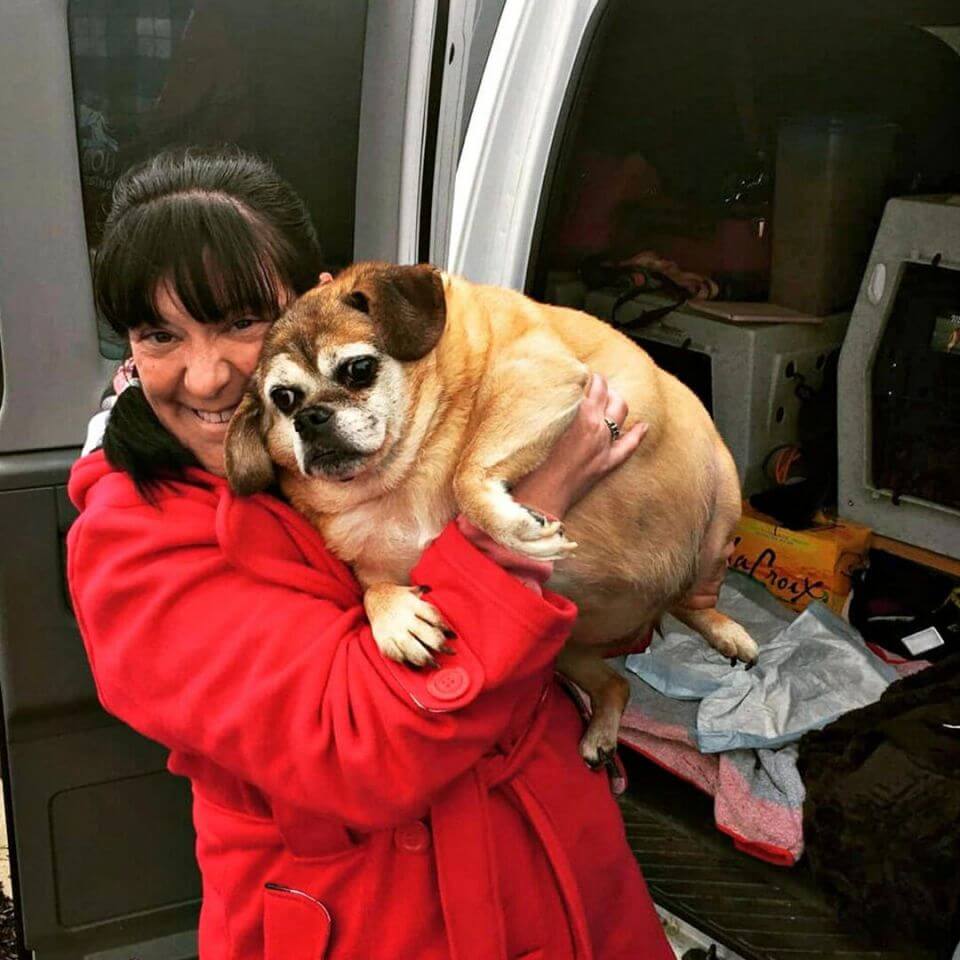 bertha-the-obese-4