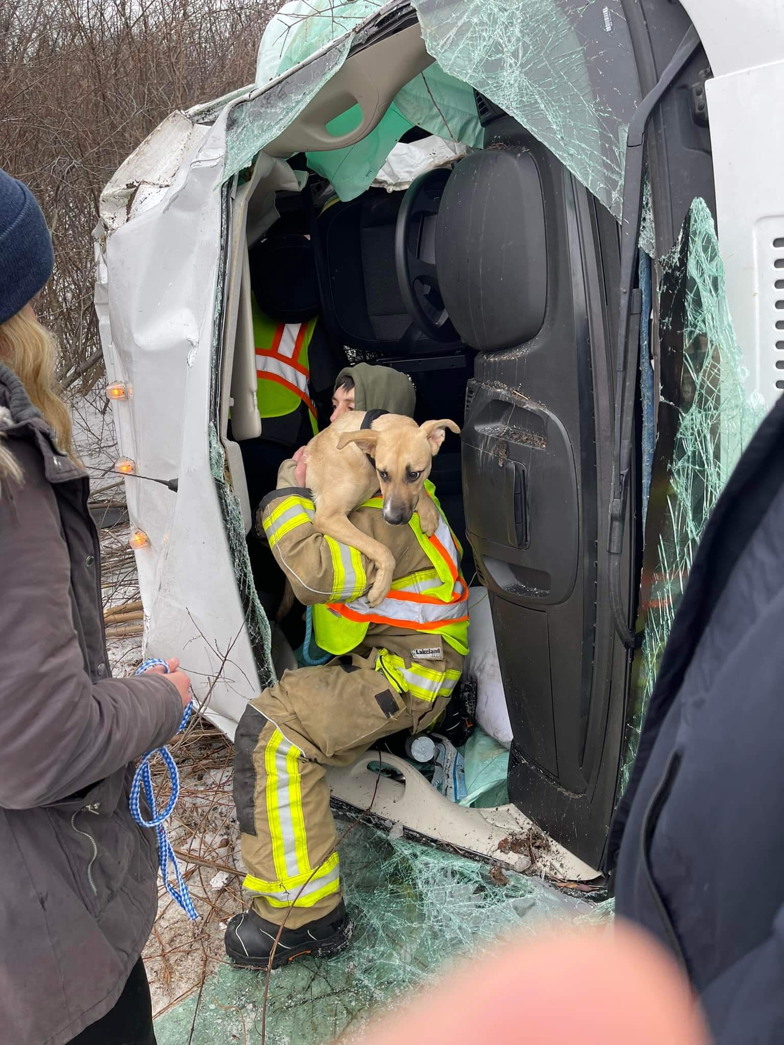 Big Bend Fire Department on mark New Year’s Day to rescue 16 dogs involved in vehicle roll over