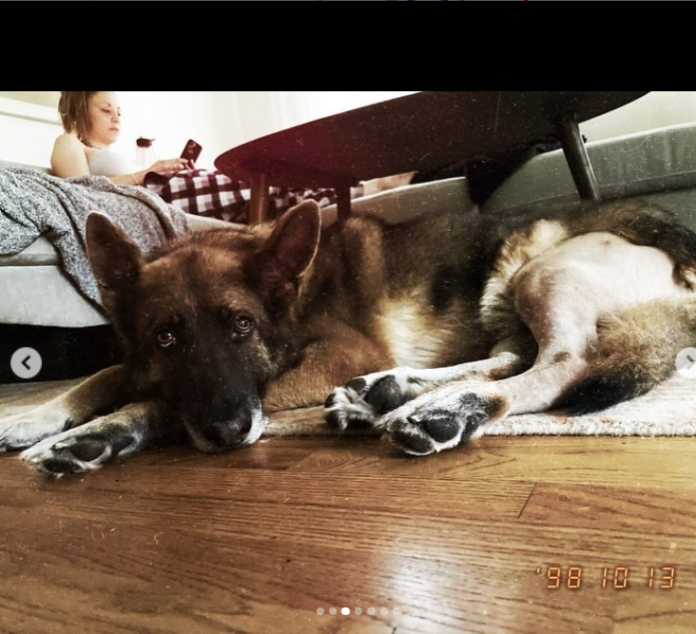 Hollywood heartbreak: Kaley Cuoco bids farewell to beloved rescue dog Blue