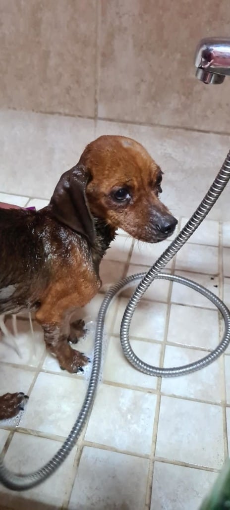 boksburg-4-464x1030-1