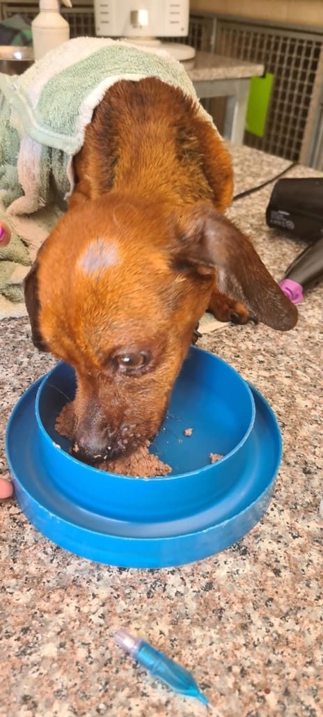 boksburg-5-464x1030-1