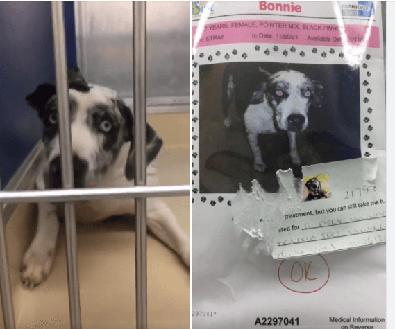 bonnie-miami3