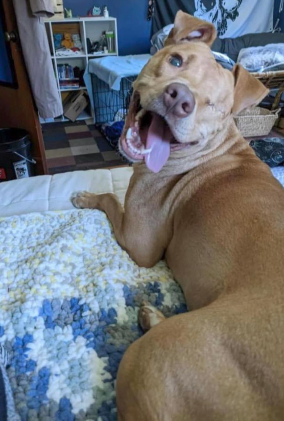 Nobody wants to adopt Tony because he only has one eye