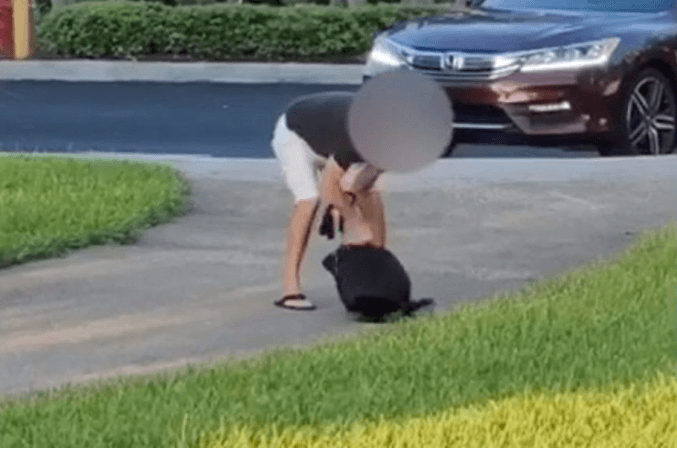 Boynton Beach man snagged on video punching his dog at park