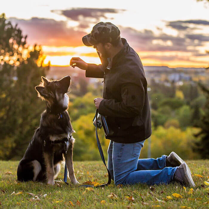 brodie-shepherd1