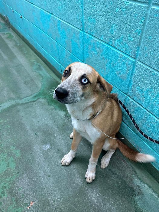 Bruce A1868816