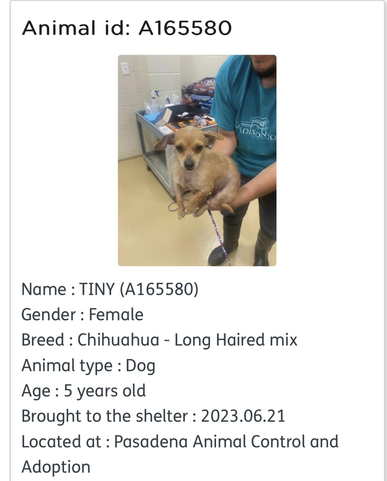 bud-and-tiny-2