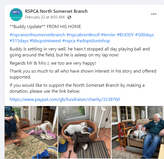 buddy-adopted1