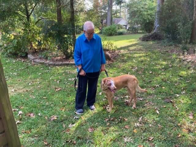 buddy-the-dog-adopt2