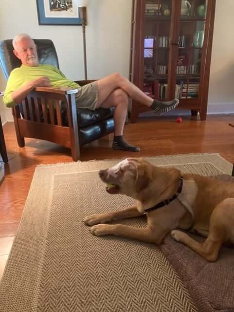buddy-the-dog-adopt4