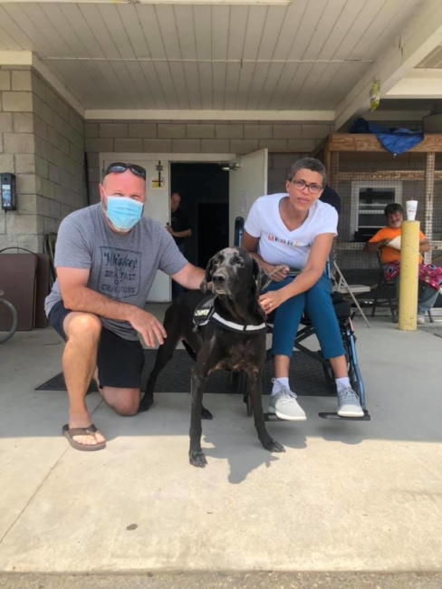 Beloved family dog missing for 6 weeks after collision reunited with his family