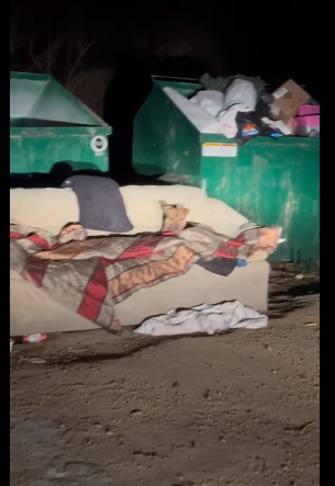 Shivering pup beside dumpster trying to stay warm under patched blanket rescued just in time