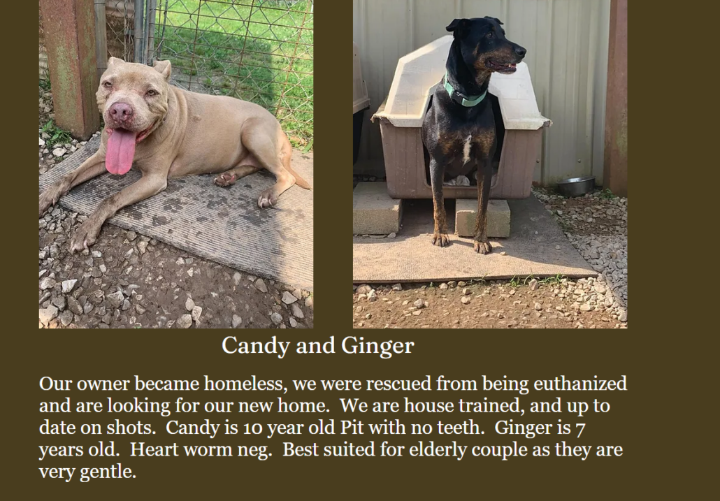 candy-and-tucker-5-1030x717-1