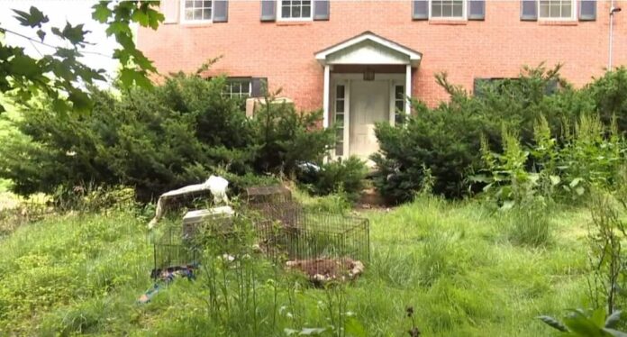 UPDATE: Cruelty charges and more deceased dogs found in home of Ohio dog shelter’s founder