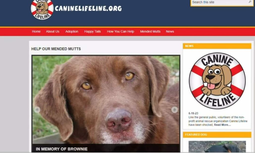 canine-lifeline-2-1030x618-1