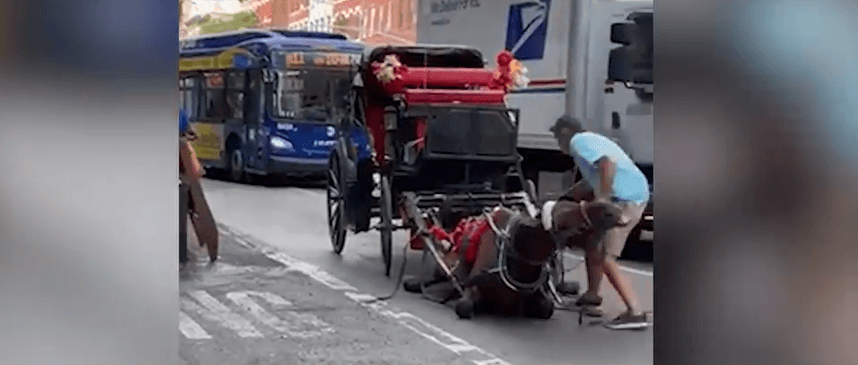 carriage