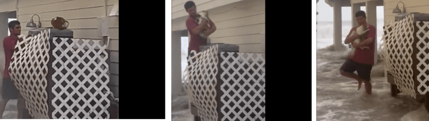 Man rescued cat during hurricane and then donated thousands to animal shelter