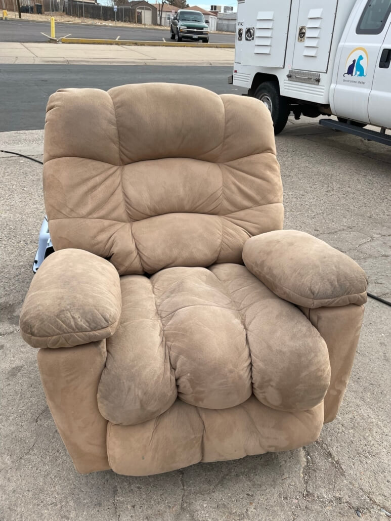 cat-in-recliner3-773x1030-1