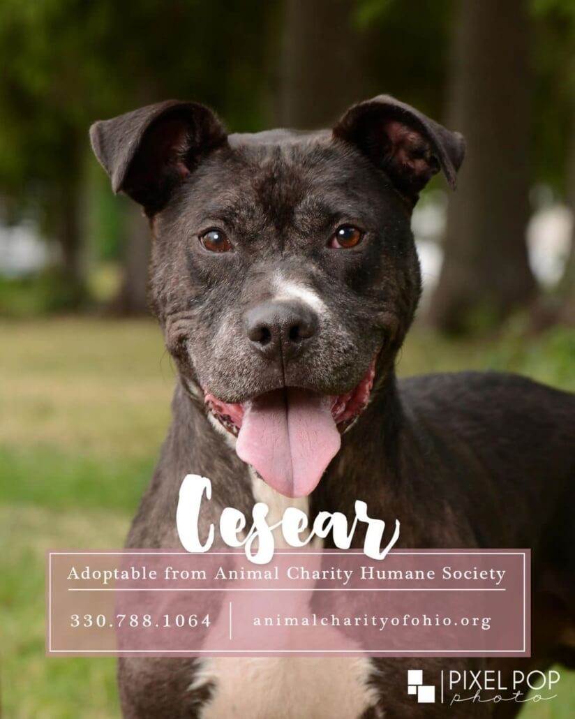 ceasar-ohio3-824x1030-1