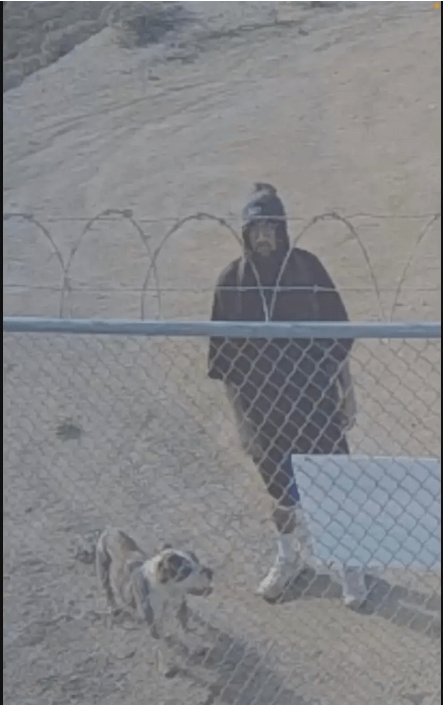 Man caught on video cruelly tossing dog over fence at cellphone tower
