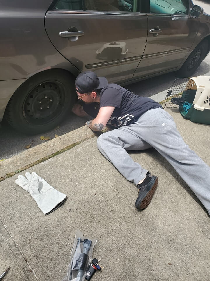 Kitten trapped in tire well of car and kind man wasn’t moving his vehicle until the little one was safe
